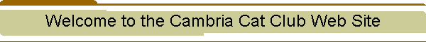 Welcome to the Cambria Cat Club Web Site