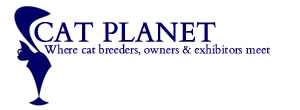 Link to the Southern British Shorthair Cat Club